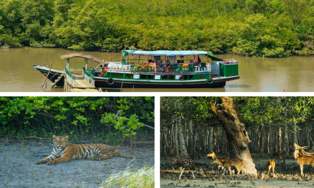 Sundarban